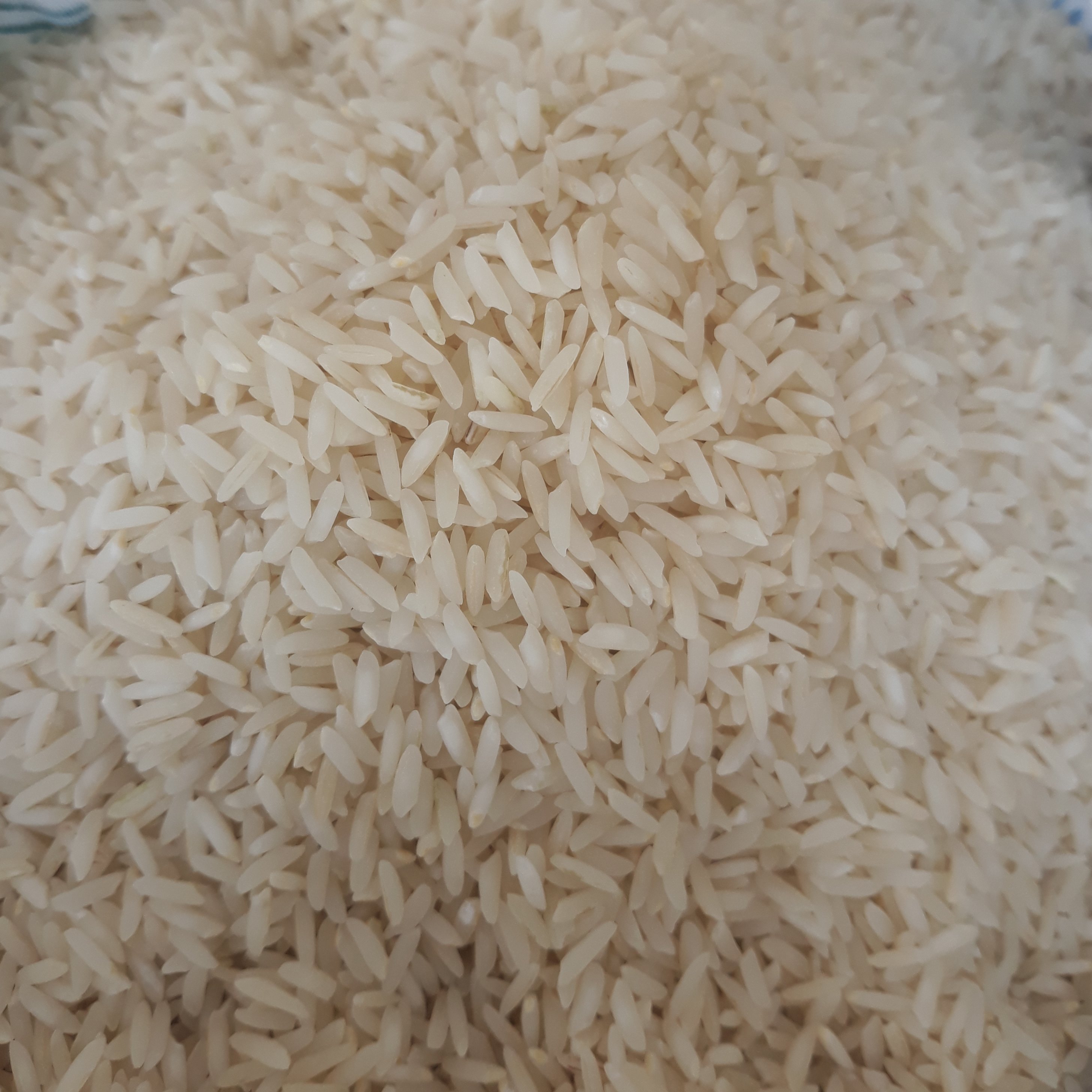 برنج طارم محلی اعلاء فریدونکنار (5 کیلویی) ارسال رایگان