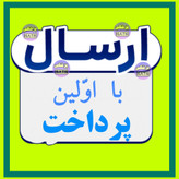 فشارسنج سخنگو فارسی ( 3سال گارانتی)ارسال رایگان
