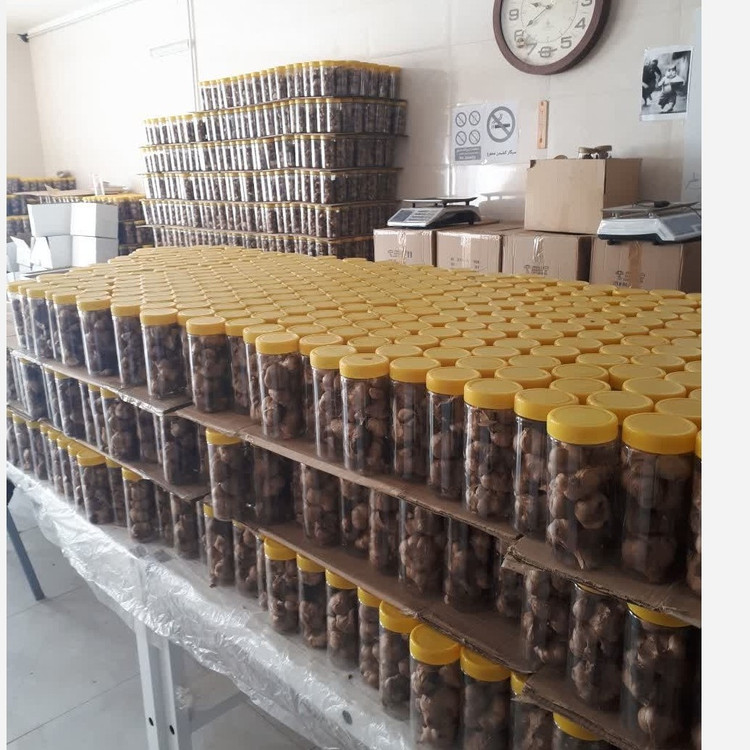 سیر سیاه اصل تازه (یک کیلویی) پاستیلی درجه یک و شیرین تهیه شده ازسیرهمدان