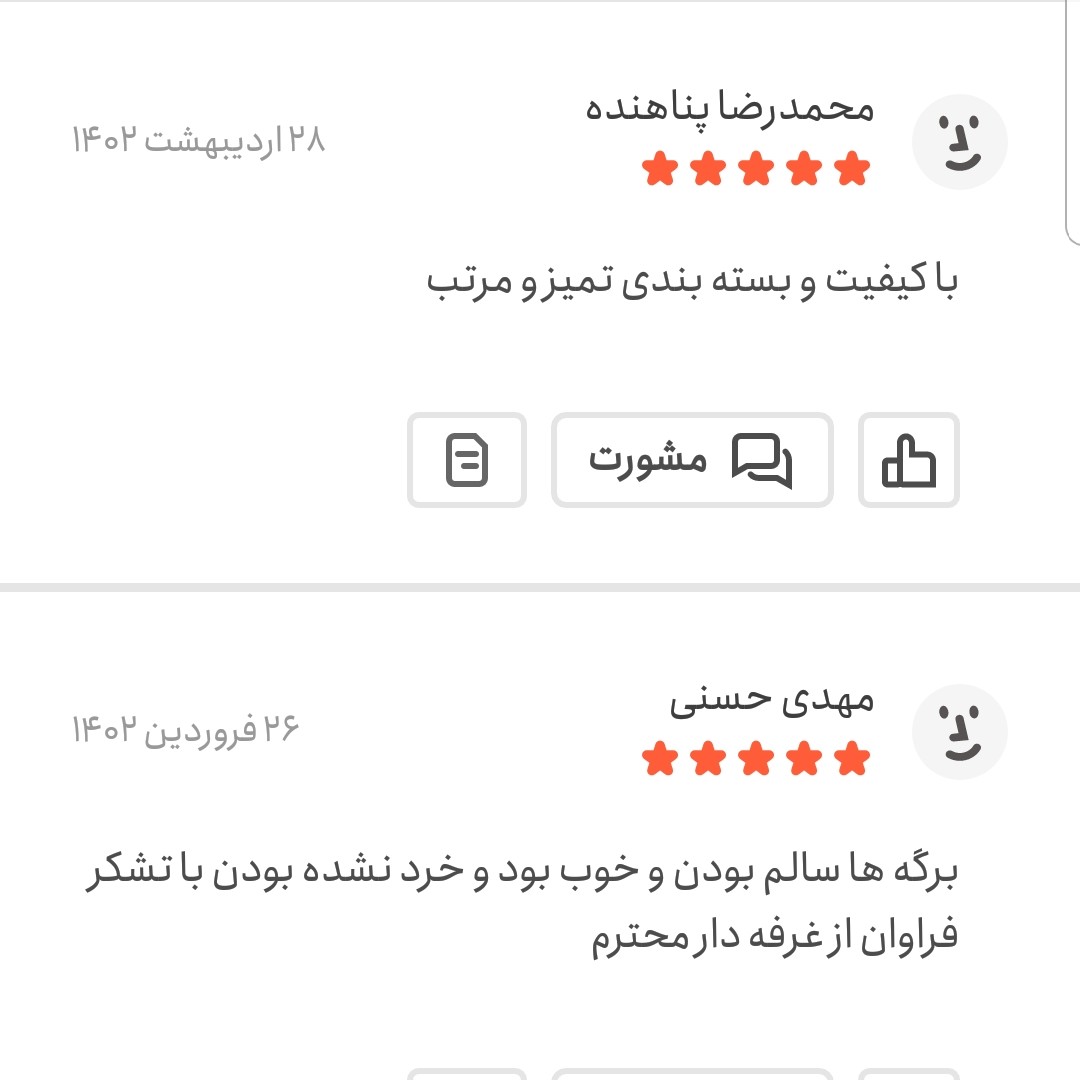 برگ بو اعلا 25 گرمی اعتماد درشت و سبز و تازه و سالم