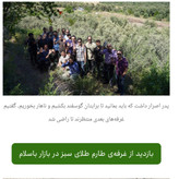 روغن زیتون تازه پرس گرم 5 لیتری با بوی کم مخصوص سرخ کردن و پختوپز مستقیم از باغدار طارم با تضمین قیمت و کیفیت