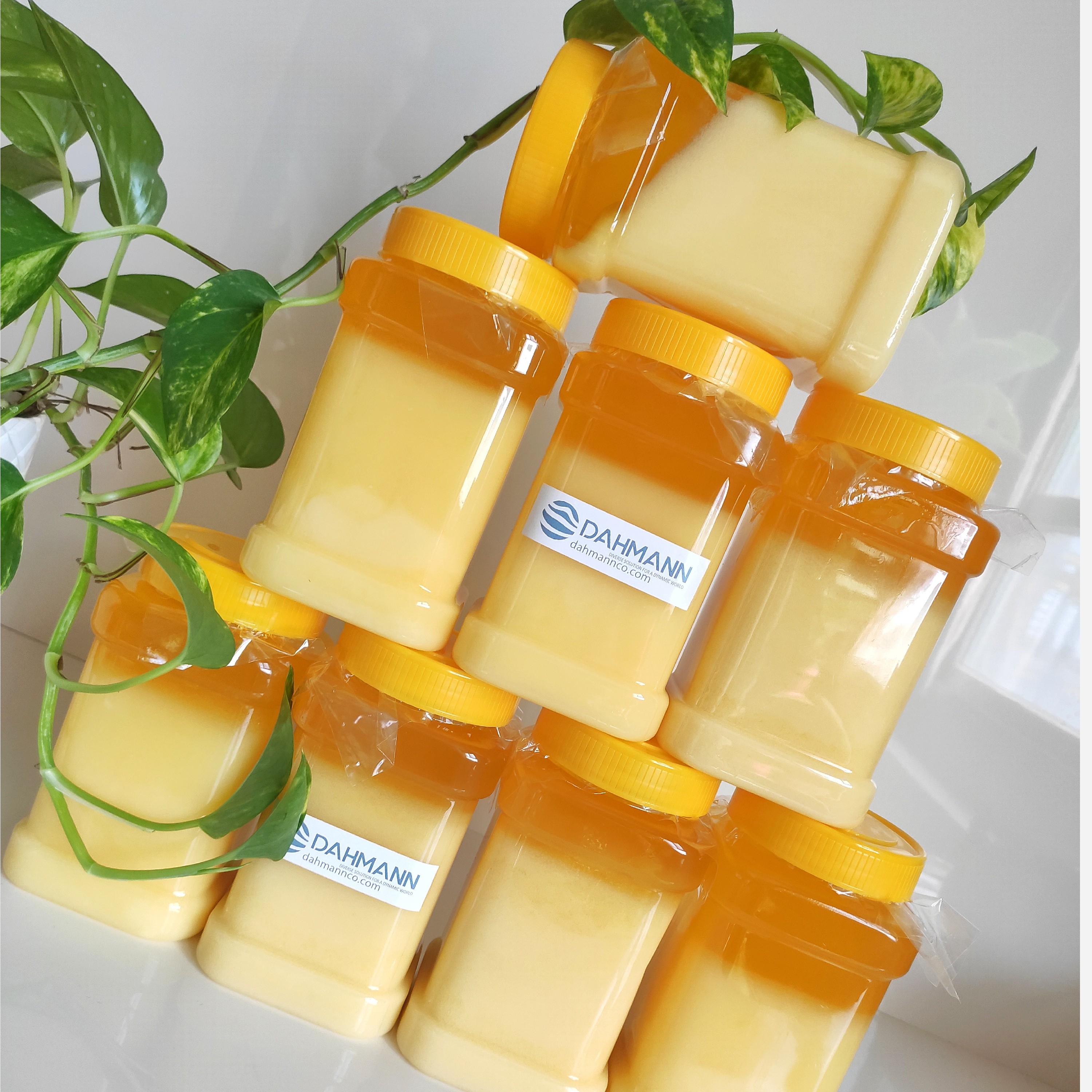 روغن حیوانی گاوی تازه خانگی 680 گرمی داهمان با نشان کیفیت