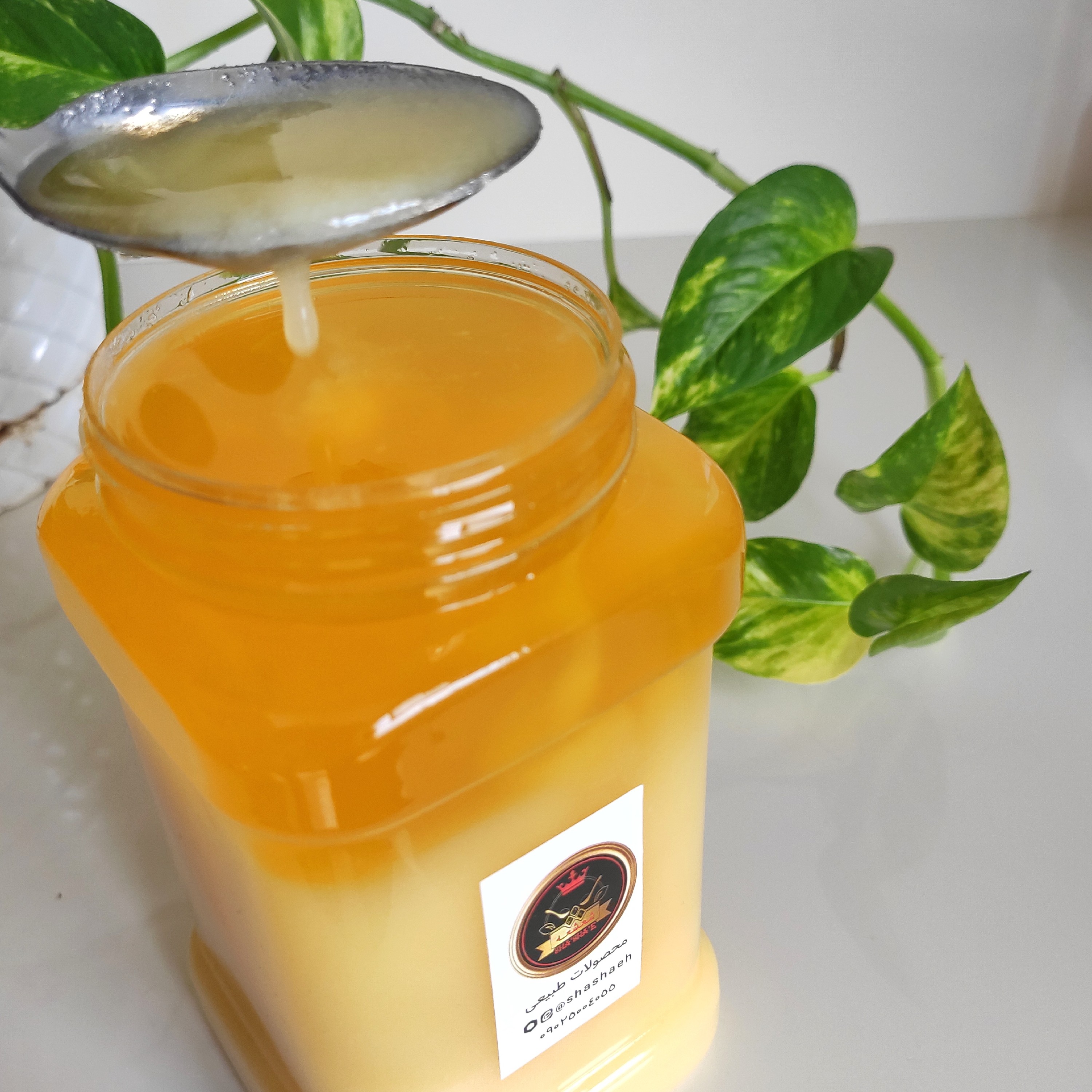 روغن حیوانی گاوی تازه خانگی 680 گرمی داهمان با نشان کیفیت