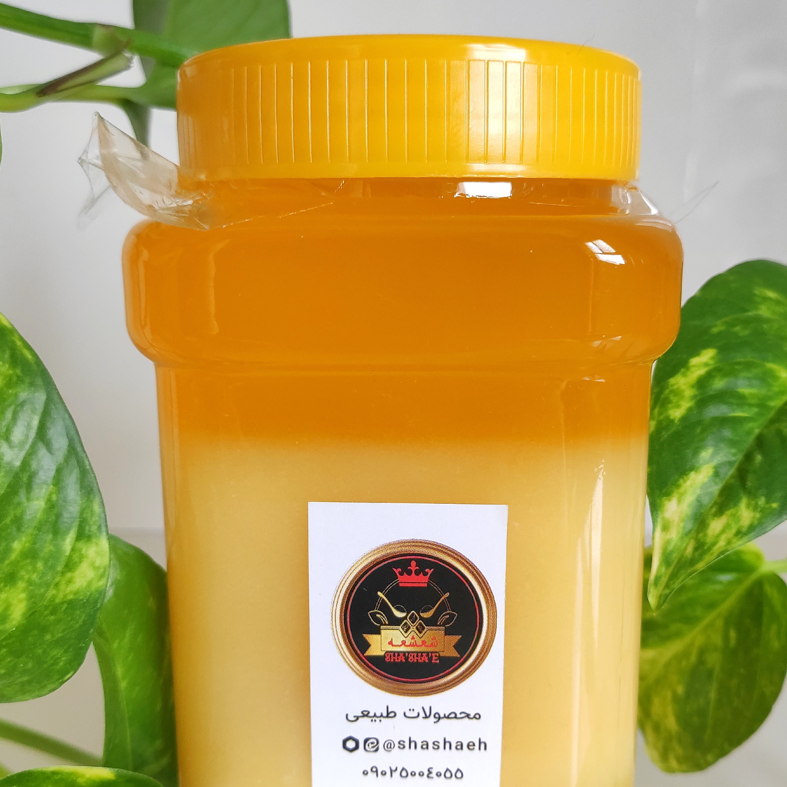 روغن حیوانی گاوی تازه خانگی 680 گرمی داهمان با نشان کیفیت