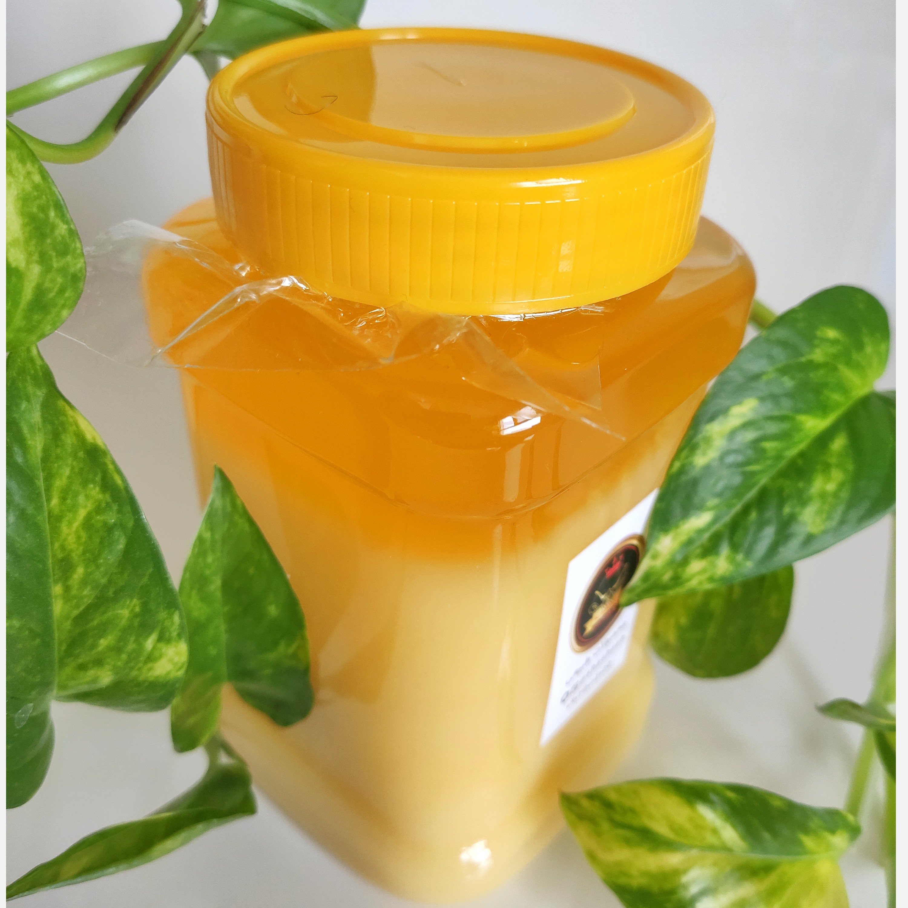 روغن حیوانی گاوی تازه خانگی 680 گرمی داهمان با نشان کیفیت