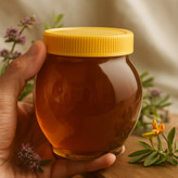 عسل طبیعی و درمانی کوهستان - با ضمانت مادام العمر (نیم کیلویی)