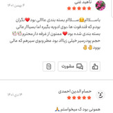 پودر سیر اعلا 250 گرمی اعتماد تازه(تخفیف دار)(پودرسیر)