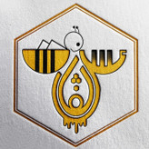عسل دیابتی و درمانی چند گیاه خام کوهی (100درصد طبیعی، برداشت جدید، با طعم خاص و خوشمزه)