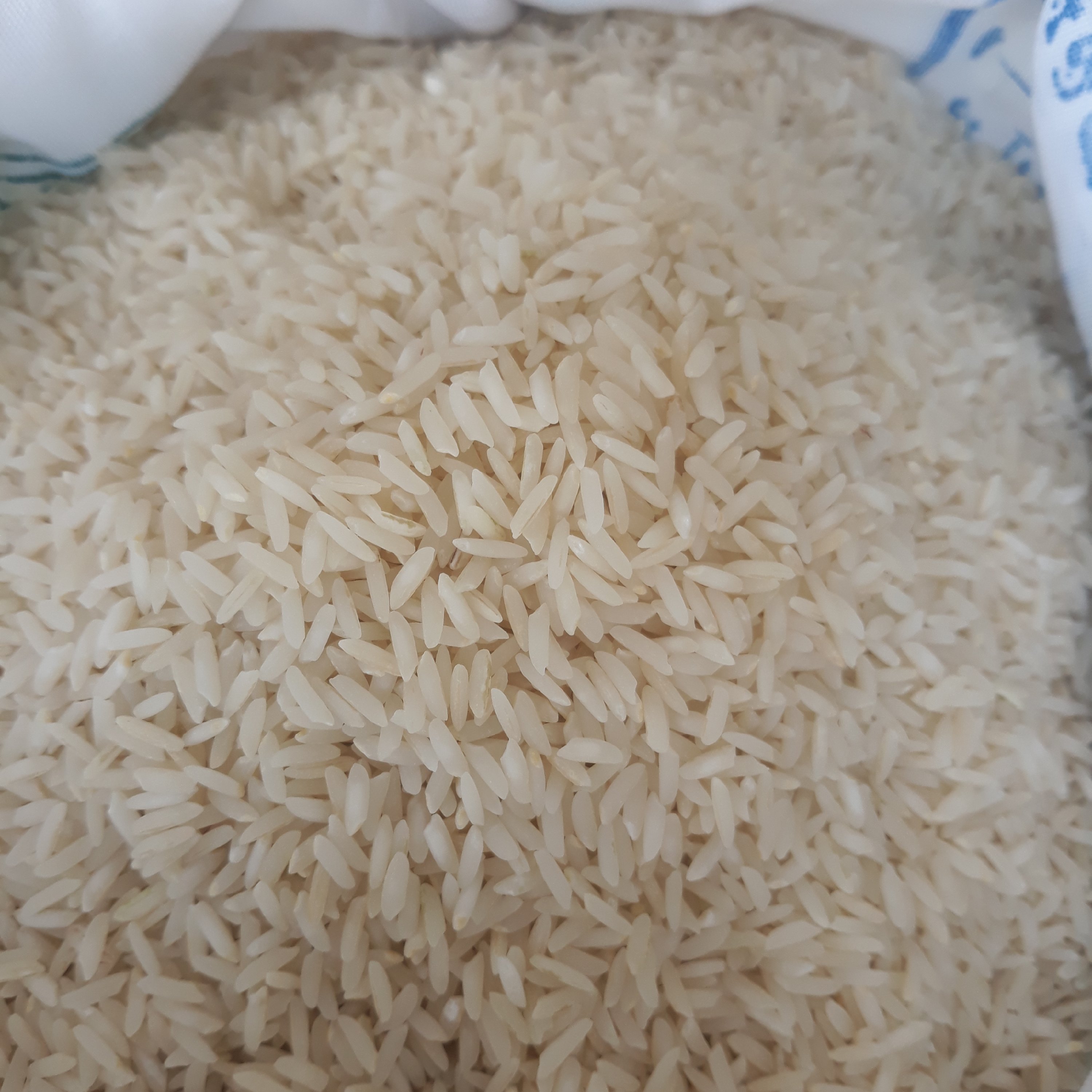 برنج طارم محلی اعلاء فریدونکنار (10کیلویی) ارسال رایگان برنج احسانی کناری