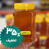 عسل طبیعی گزانگبین ساکارز زیر یک درصد یک کیلویی ( مستقیم از زنبوردار) ارسال رایگان