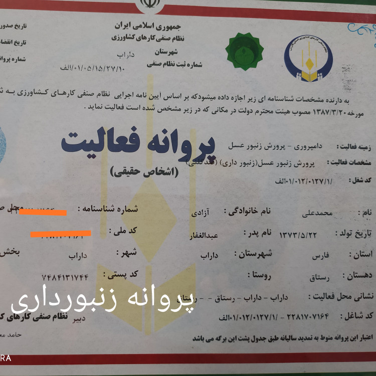 عسل طبیعی گون معمولی مستقیم از زنبوردار یک کیلوگرم برداشت 1405 ((پلمپ شده ))