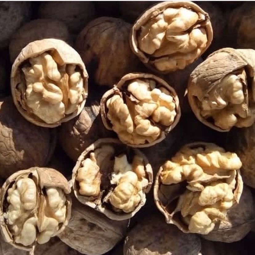 گردو پوست کاغذی تویسرکان امساله (3 کیلوگرم)