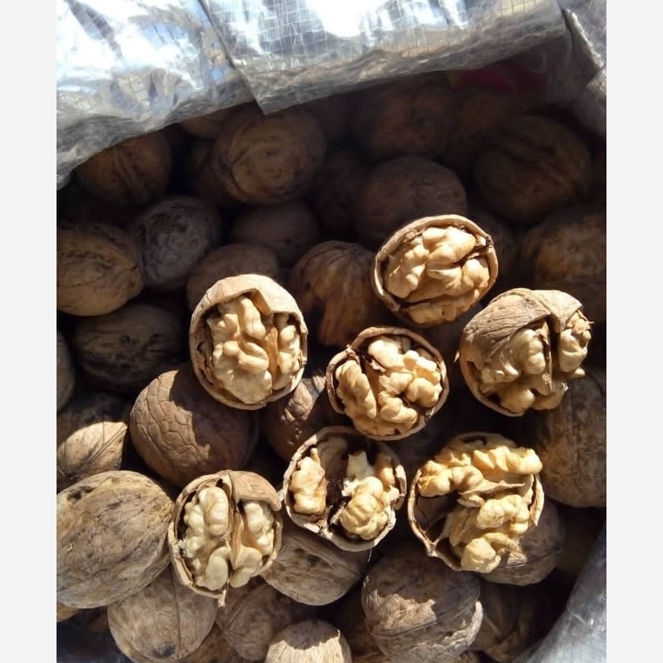 گردو پوست کاغذی تویسرکان امساله (3 کیلوگرم)