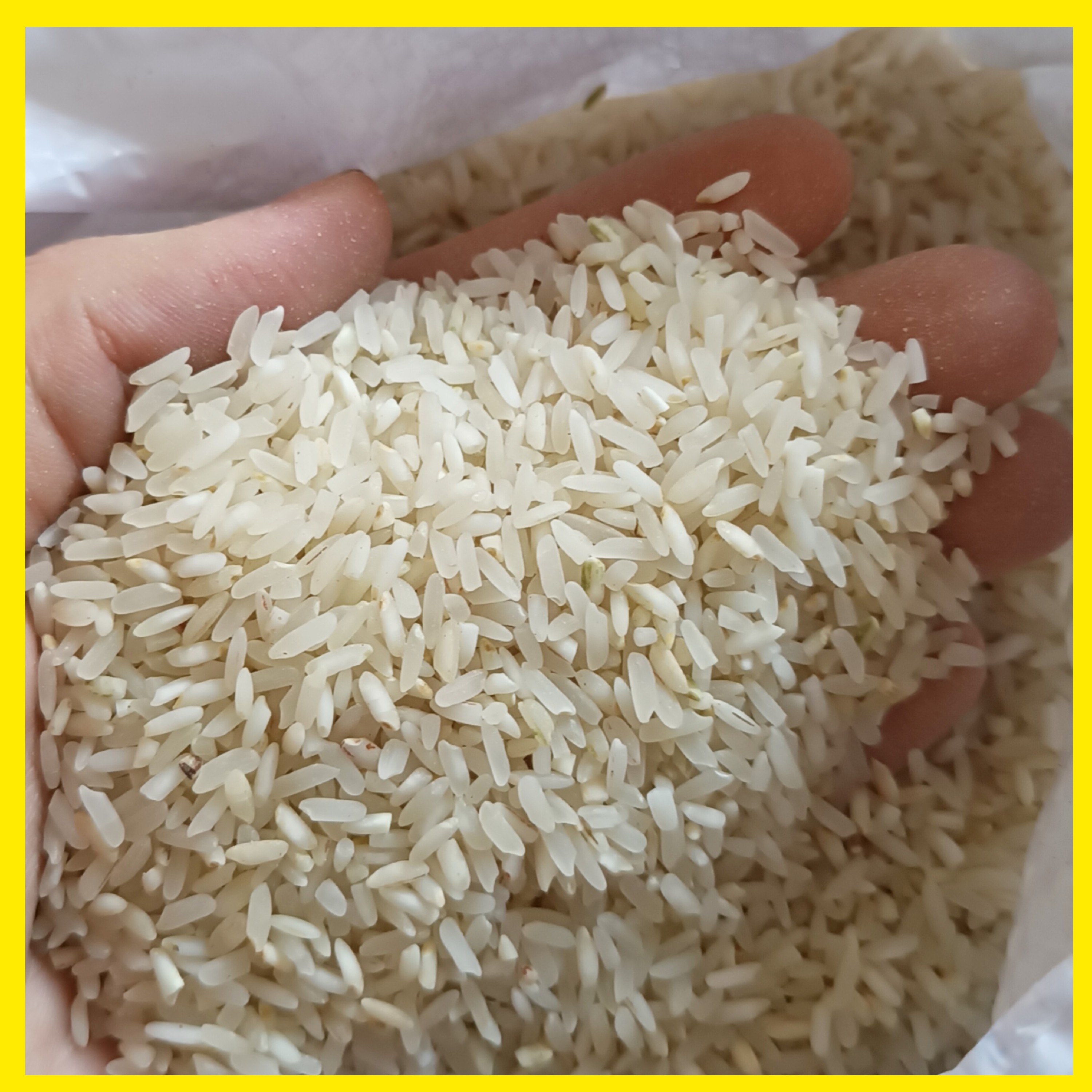 برنج کامفیروز ایرانی با قیمت به صرفه (10 کیلو)