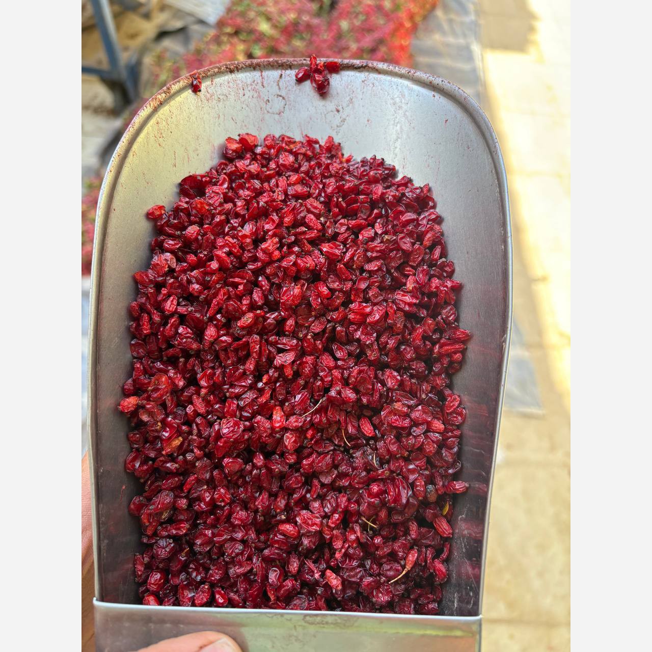 زرشک اناری خوش رنگ امسالی 1000گرم