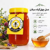 عسل چهل گیاه سبلان 1 کیلویی/زنبورستان اردبیل