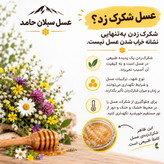 عسل چهل گیاه سبلان 1 کیلویی/زنبورستان اردبیل