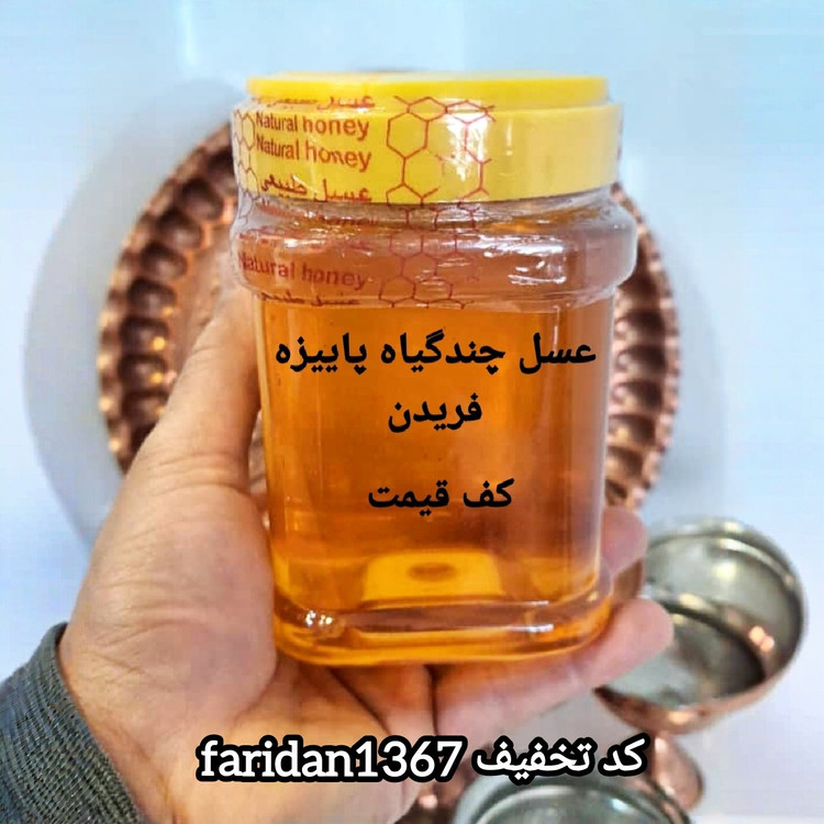 عسل چندگیاه پاییزه فریدن 1کیلویی دشتی اصل(ارسال رایگان با خرید2 م از غرفه)