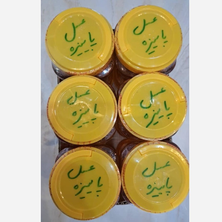 عسل چندگیاه پاییزه فریدن 1کیلویی دشتی اصل(ارسال رایگان با خرید2 م از غرفه)