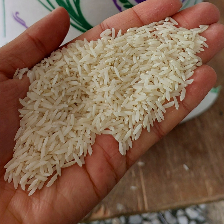 برنج طارم هاشمی فوق ممتاز تازه برداشت فریدونکنار برنج جمالی 10کیلو