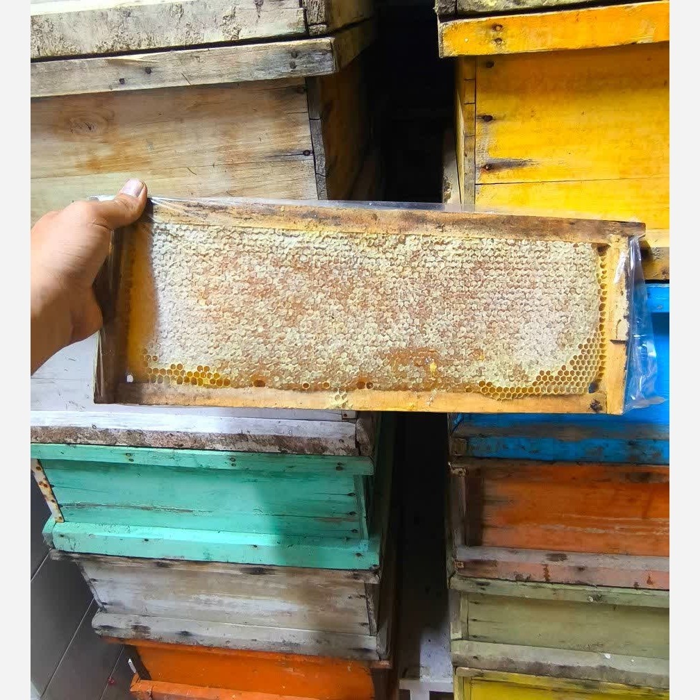 عسل طبیعی چهل گیاه باموم سبلان( یک کیلویی)
