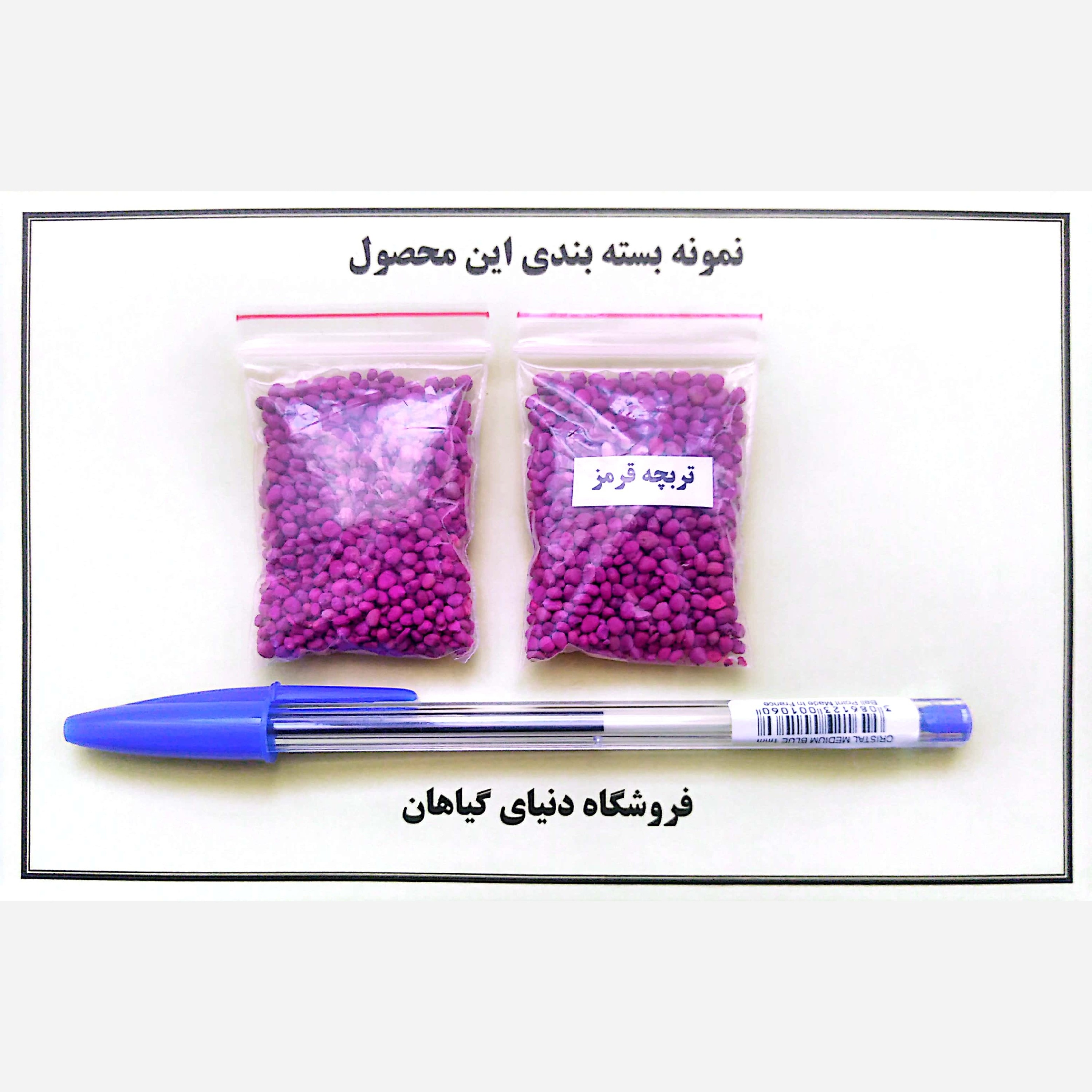 بذر تربچه قرمز (1000 عدد)