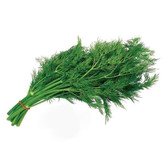 بذر شوید (500 عددی)