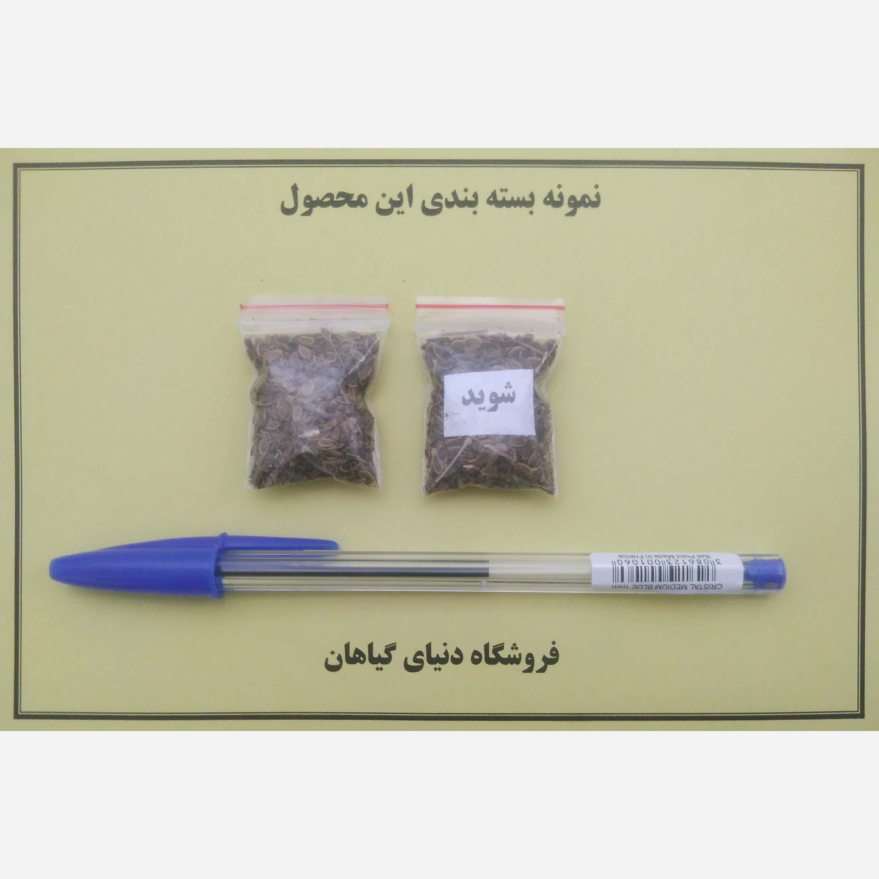 بذر شوید (500 عددی)
