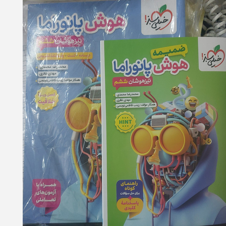 کتاب هوش پانوراما ششم انتشارات خیلی سبز چاپ 1405