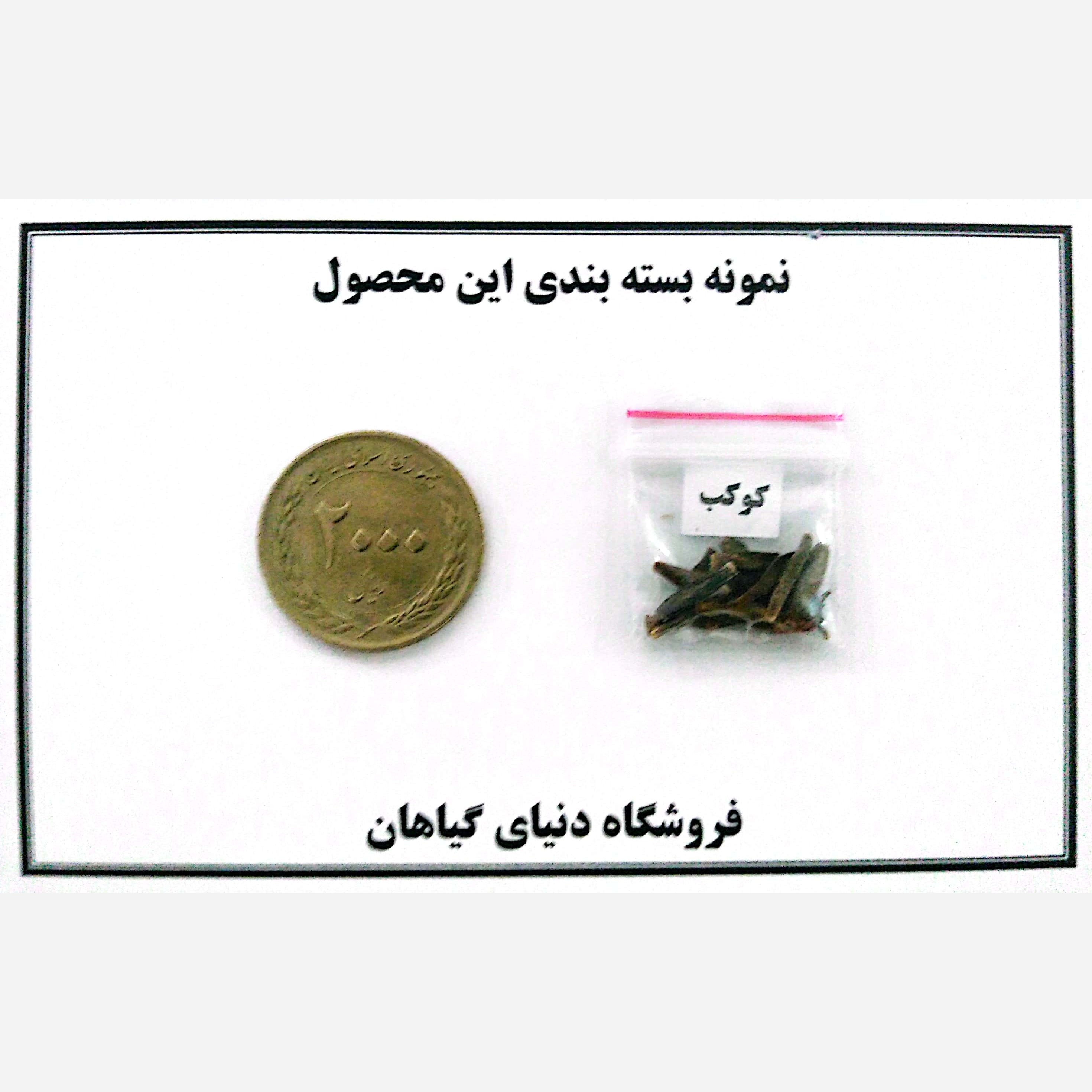 بذر کوکب الوان (بسته 10 عددی)