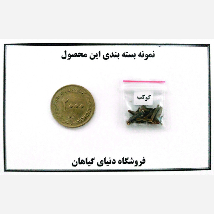 بذر کوکب الوان (بسته 10 عددی)