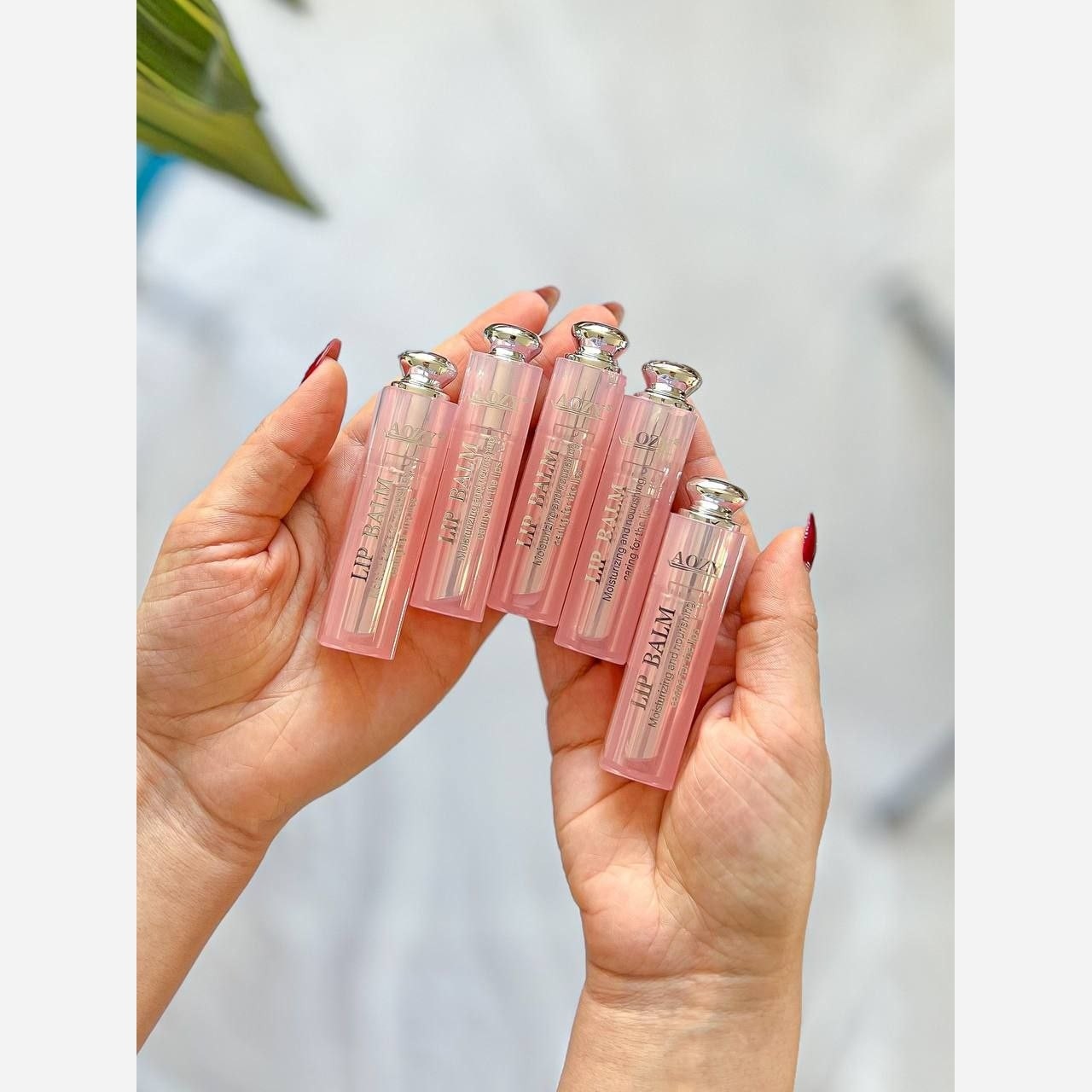 بالم لب طرح دیور