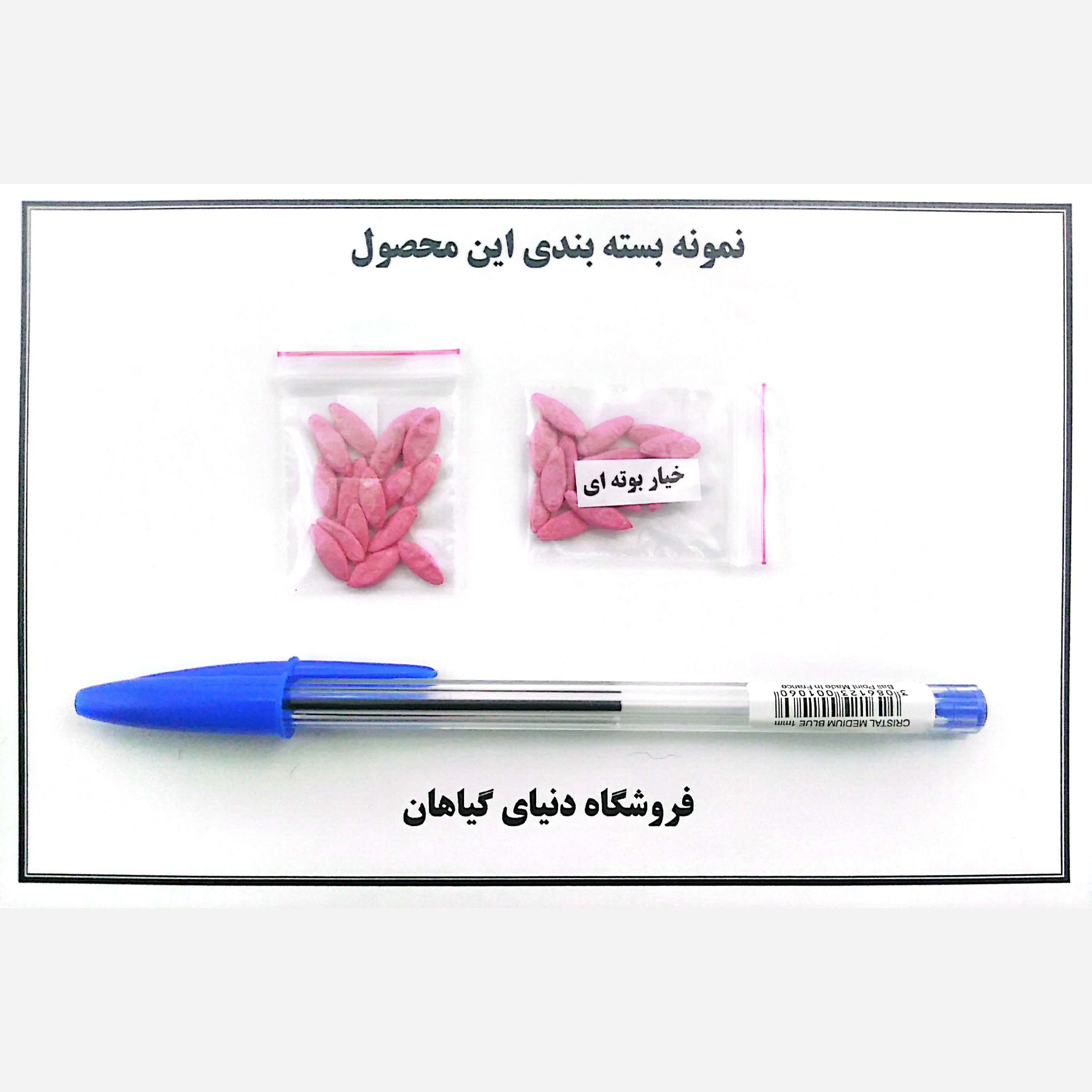 بذر خیار بوته ای هلندی/ پربار و زودرس(10 عددی)