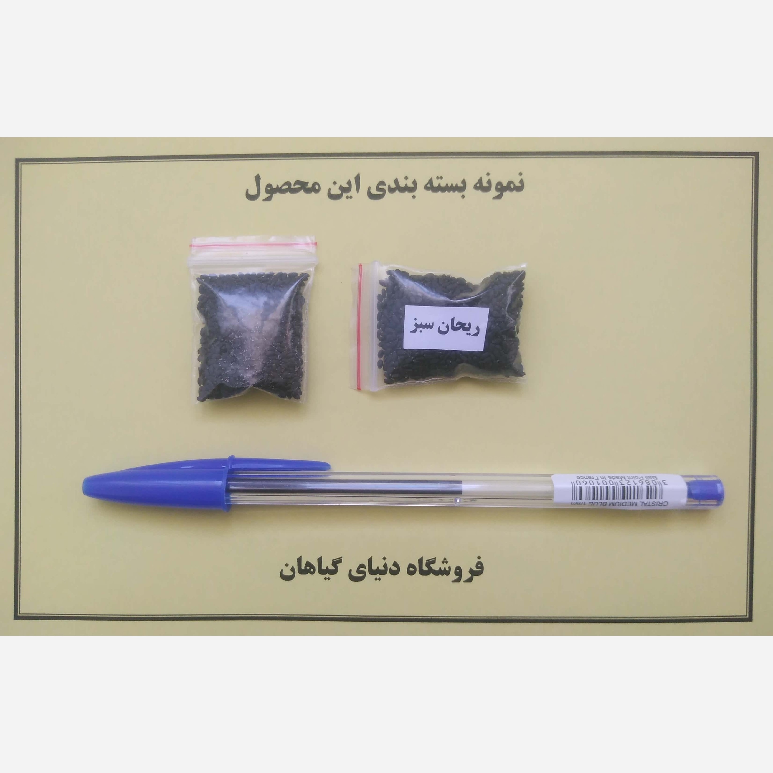 بذر ریحان سبز (1500 عدد)