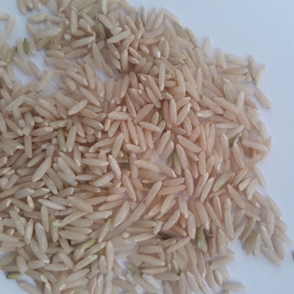 برنج قهوه ای ممتاز طارم هاشمی 10 کیلوگرمی
