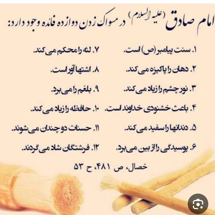 چوب مسواک چوب اراک (برند الفیضان)