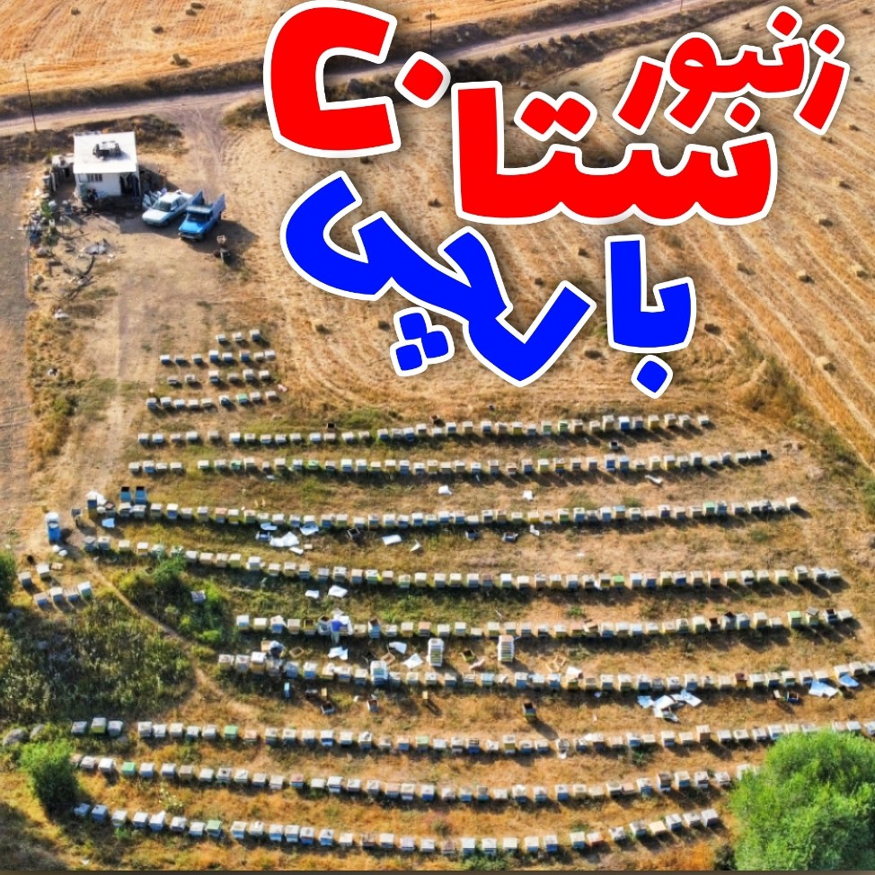 عسل چندگیاه بالچی (1 کیلوگرم) 475 تومانی بالچی با درب پُلُمپ ، ارسال فوری ، خرید مستقیم از زنبوردار