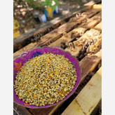 گرده گل کوهستانی (250 گرمی) مولتی ویتامین طبیعی خاویار گیاهی