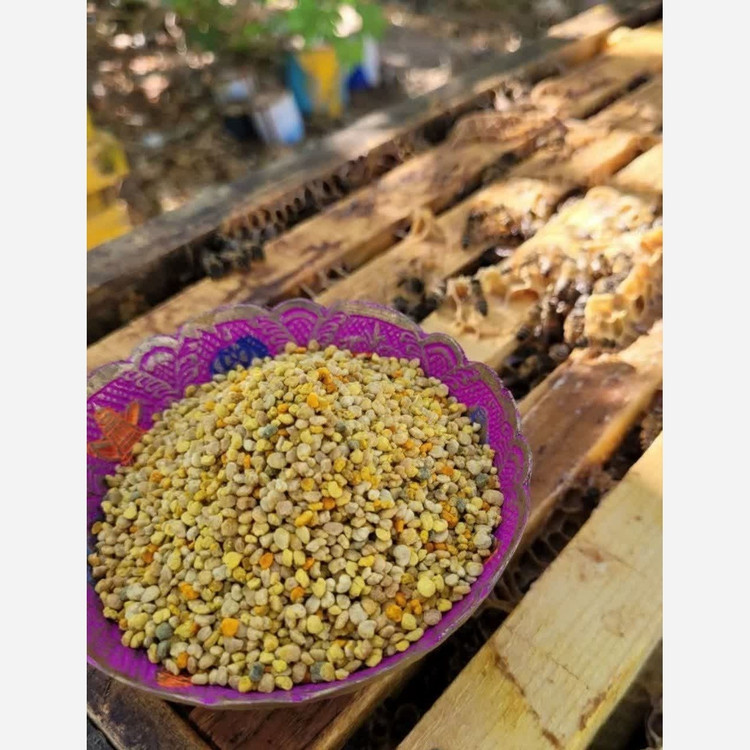 گرده گل کوهستانی (250 گرمی) مولتی ویتامین طبیعی خاویار گیاهی