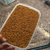 گرده گل کوهستانی (250 گرمی) مولتی ویتامین طبیعی خاویار گیاهی