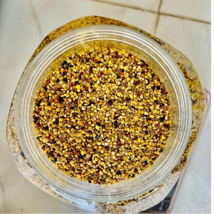گرده گل کوهستانی (250 گرمی) مولتی ویتامین طبیعی خاویار گیاهی