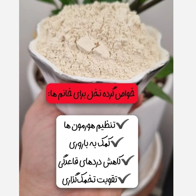 گرده نخل گرد نخل گرد لقاح خرما نر خالص درجه 1 تازه برداشت بهار 1405