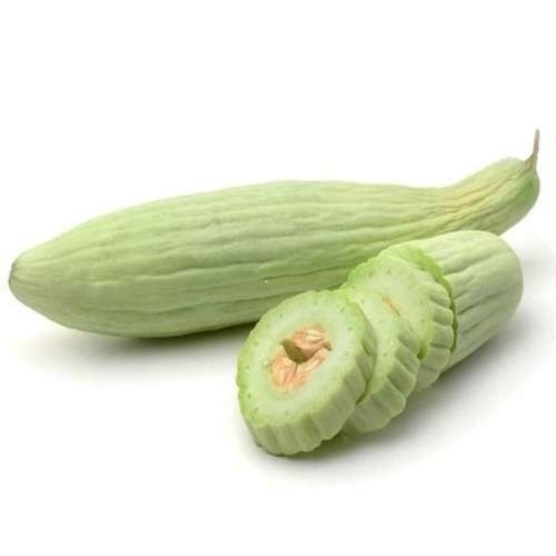 بذر خیار چنبر(10 عدد)