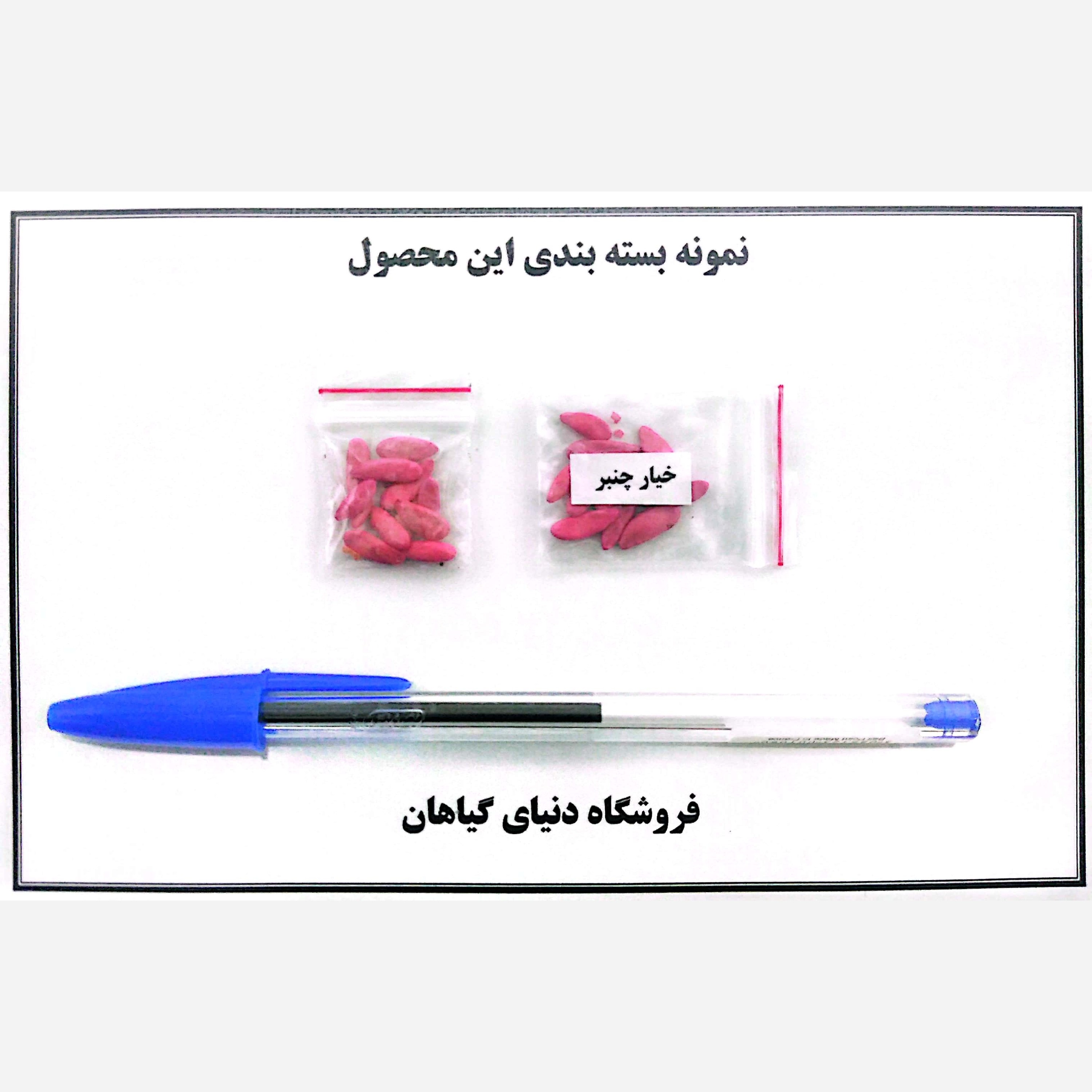 بذر خیار چنبر(10 عدد)