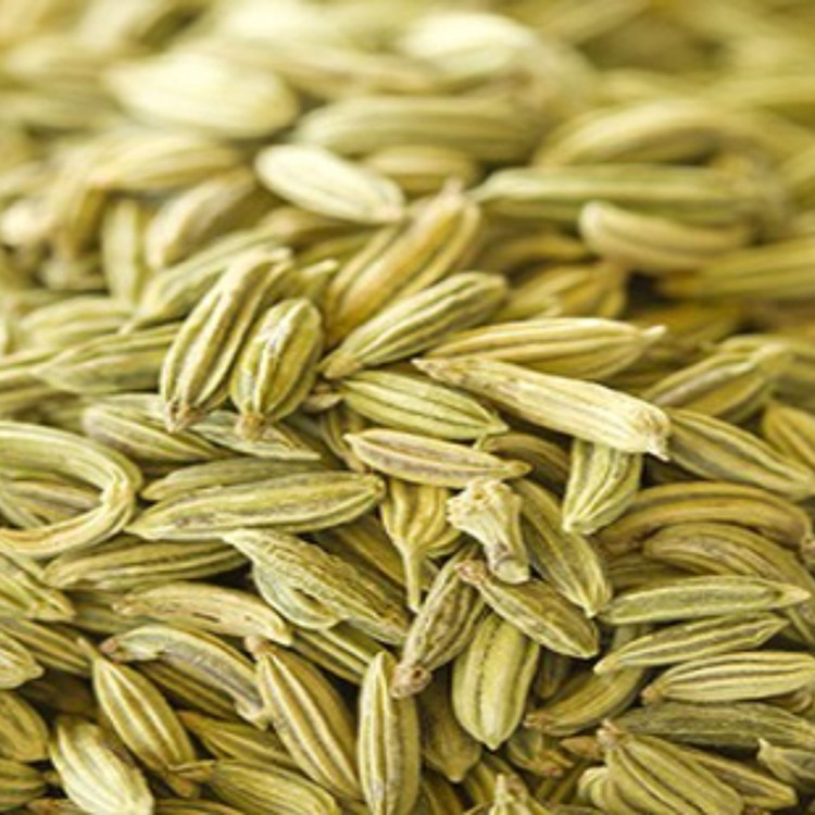 رازیانه اعلا 100 گرمی اعتماد امسالی و کاملاتمیز(بادیان)