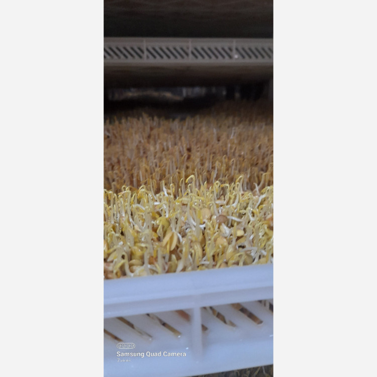سویق کامل کودک نور (300گرم)برای افزایش وزن و اشتهای کودک