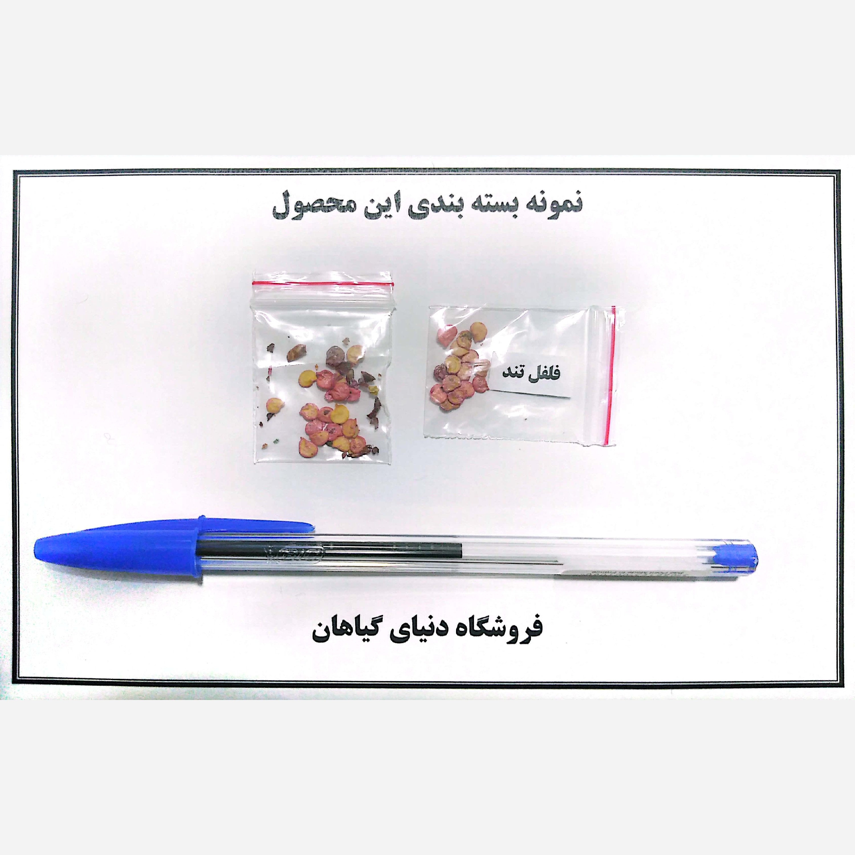 بذر فلفل سبز تند (10 عدد)