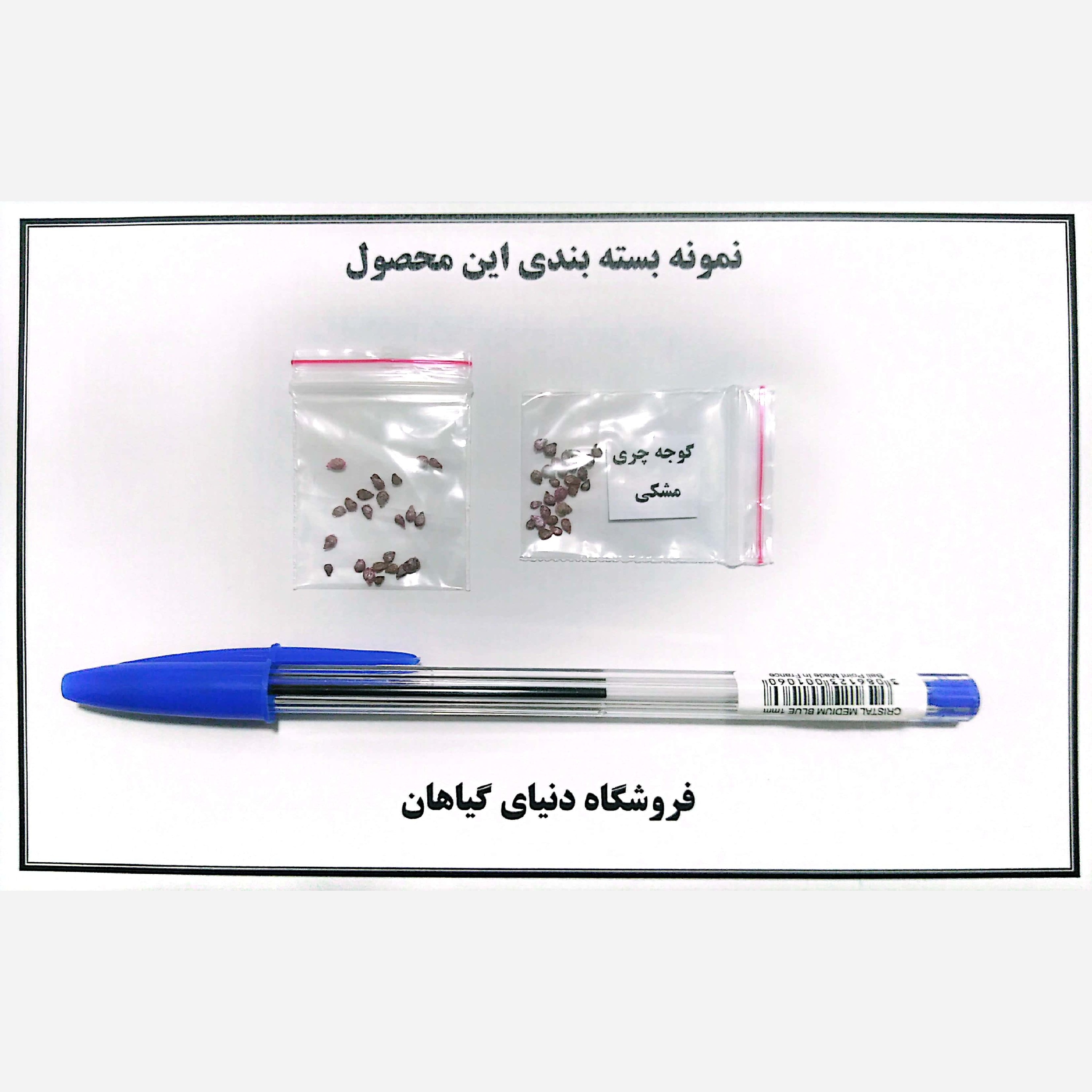 بذر گوجه گیلاسی(کد7)چری مشکی (10 عددی)