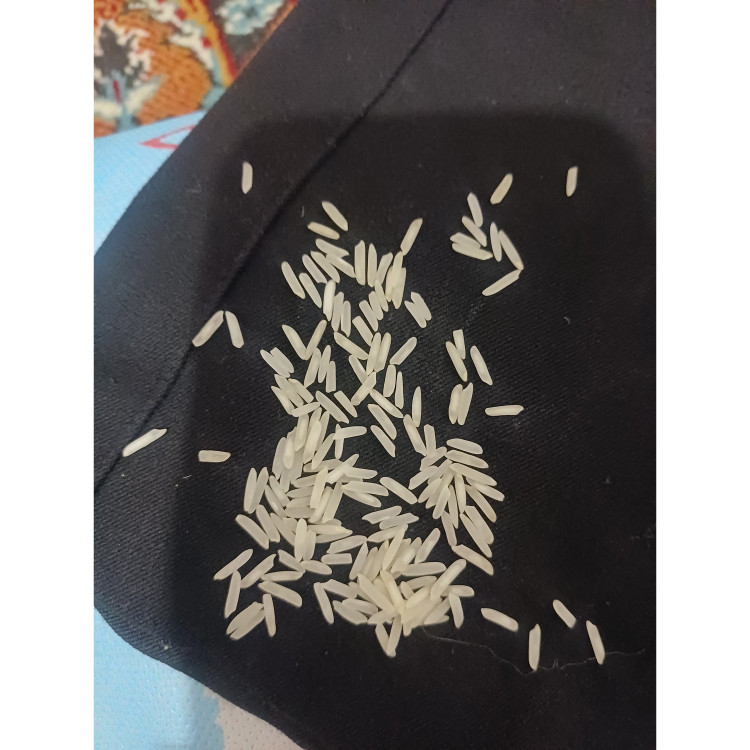 برنج پاکستانی دانه بلند غزال آبی ارسال رایگان مشهد
