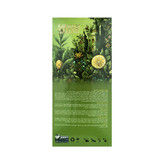 دمنوش گیاهی سحر